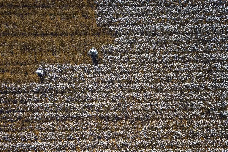 Cina, il lavoro forzato degli uiguri diventa legge