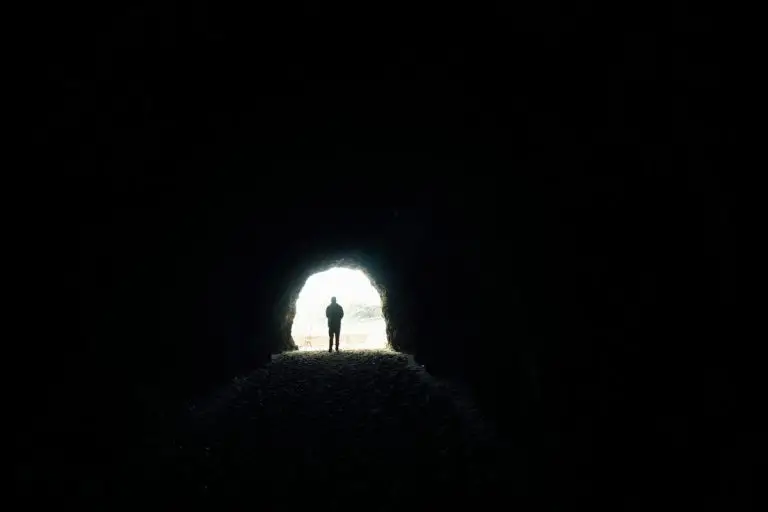 L’informazione e la caverna degli idoli