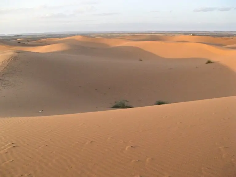 Migranti abbandonati nel deserto: il costo occultato dei fondi UE