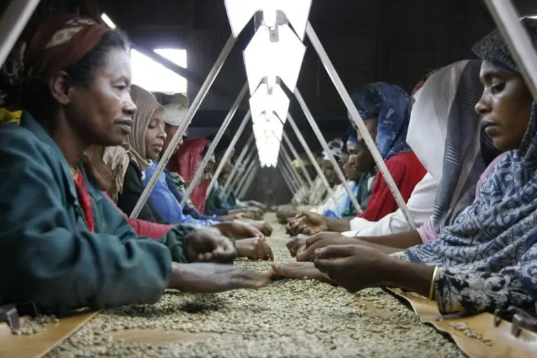 L’Etiopia ha votato. Ma il 43% è escluso dal futuro