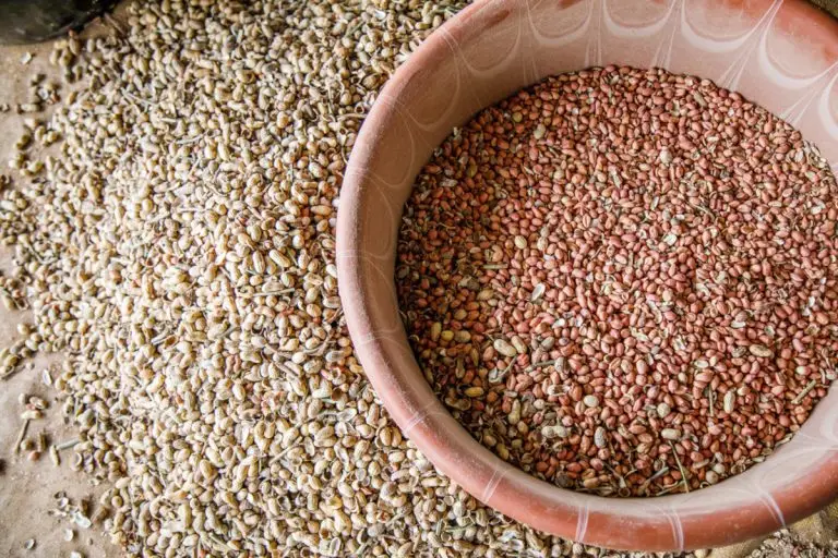 Agenda 2030: l’Onu la celebra e i poveri spariscono