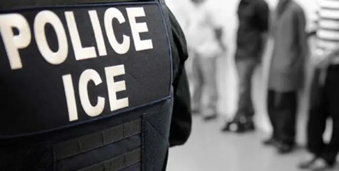 ICE_Immigration_Raid_Scene
