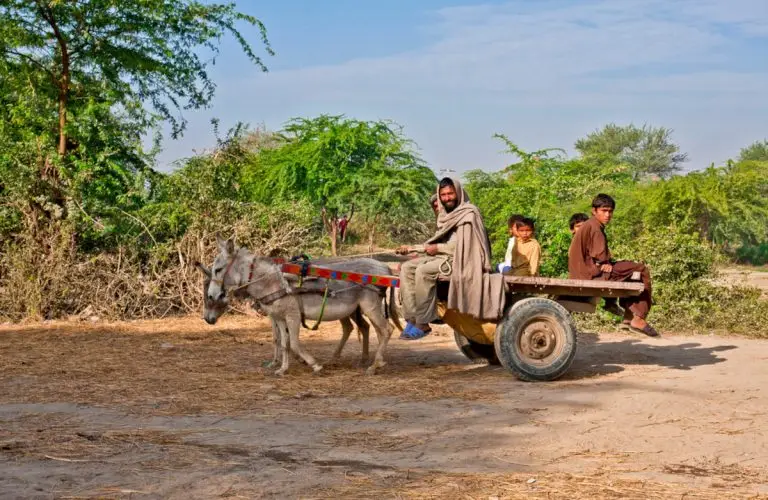 Stregoneria e povertà in Pakistan: varata una legge