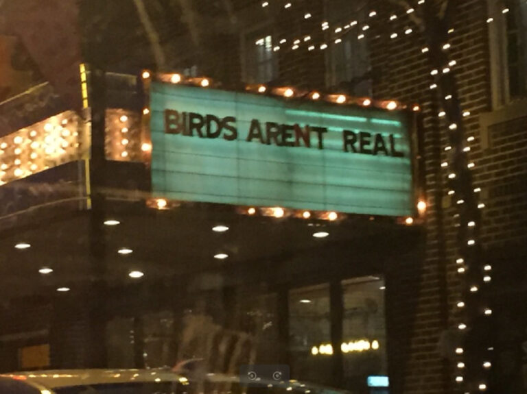 L’ultracospirazionismo come satira del cospirazionismo. Il caso di “Bird aren’t real”