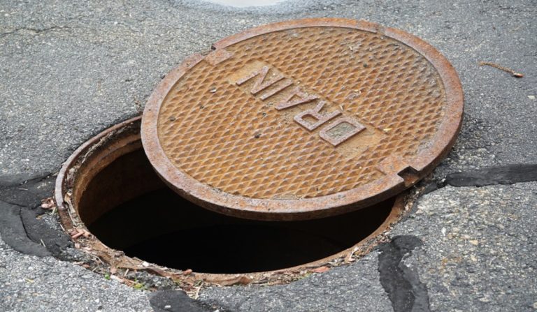 Almeno il cane lo stavano cercando …