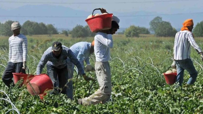 Il paradosso del Decreto Flussi: lavoratori senza diritti